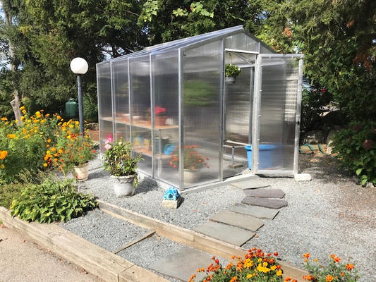 Palmetto Greenhouse 8' x 10'